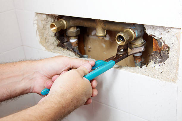 Why You Should Use A Professional For All Your Plumbing Needs